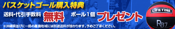 バスケットゴール購入特典 送料・代引手数料無料 ボール1個プレゼント