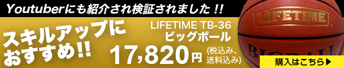 バスケットゴール LIFETIME(ライフタイム) ビッグボール バスケットゴール LIFETIME(ライフタイム) ビッグボール